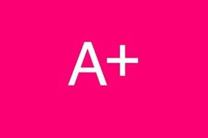 partner 5